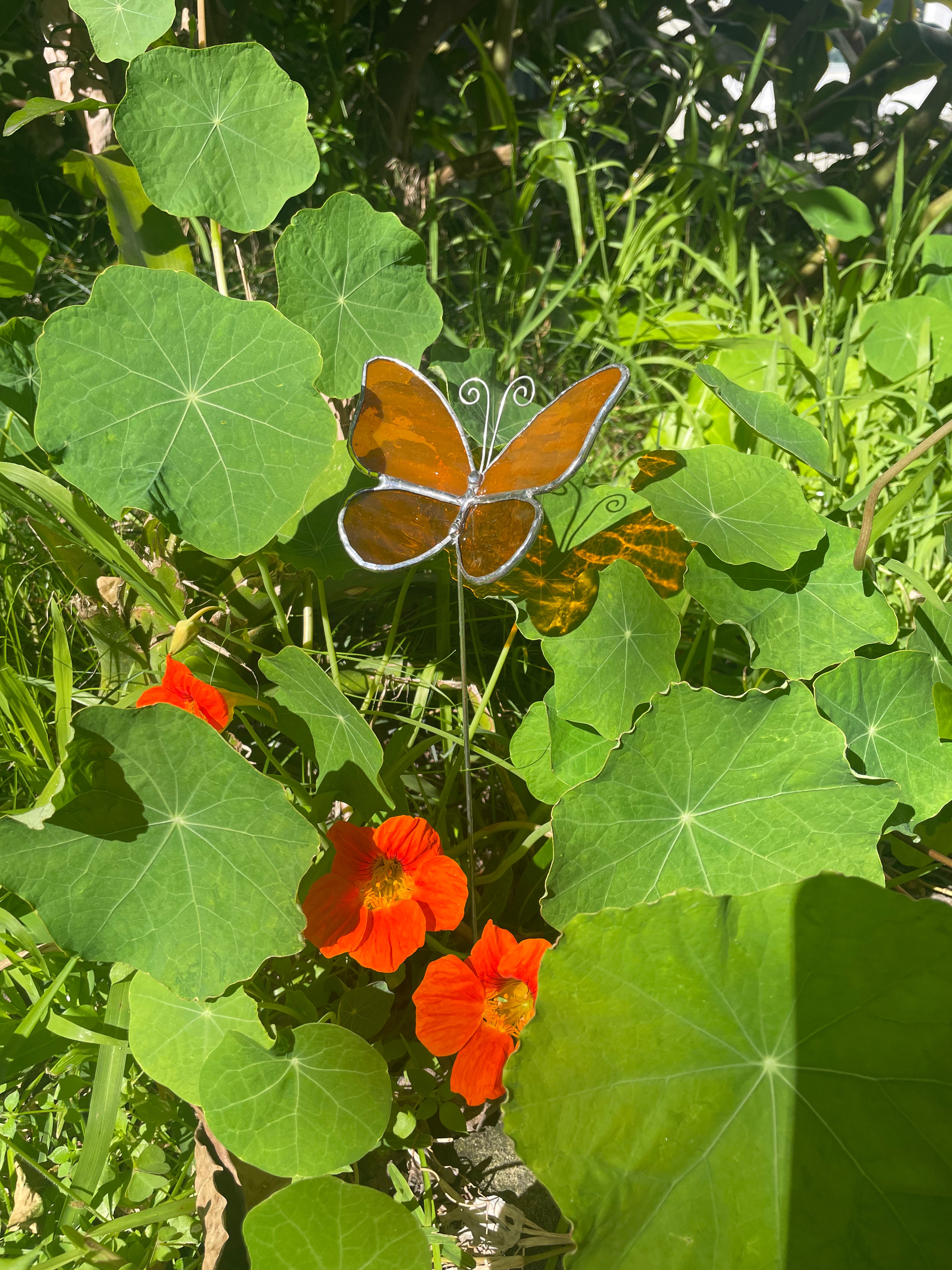Butterfly Plant Stake - Orange