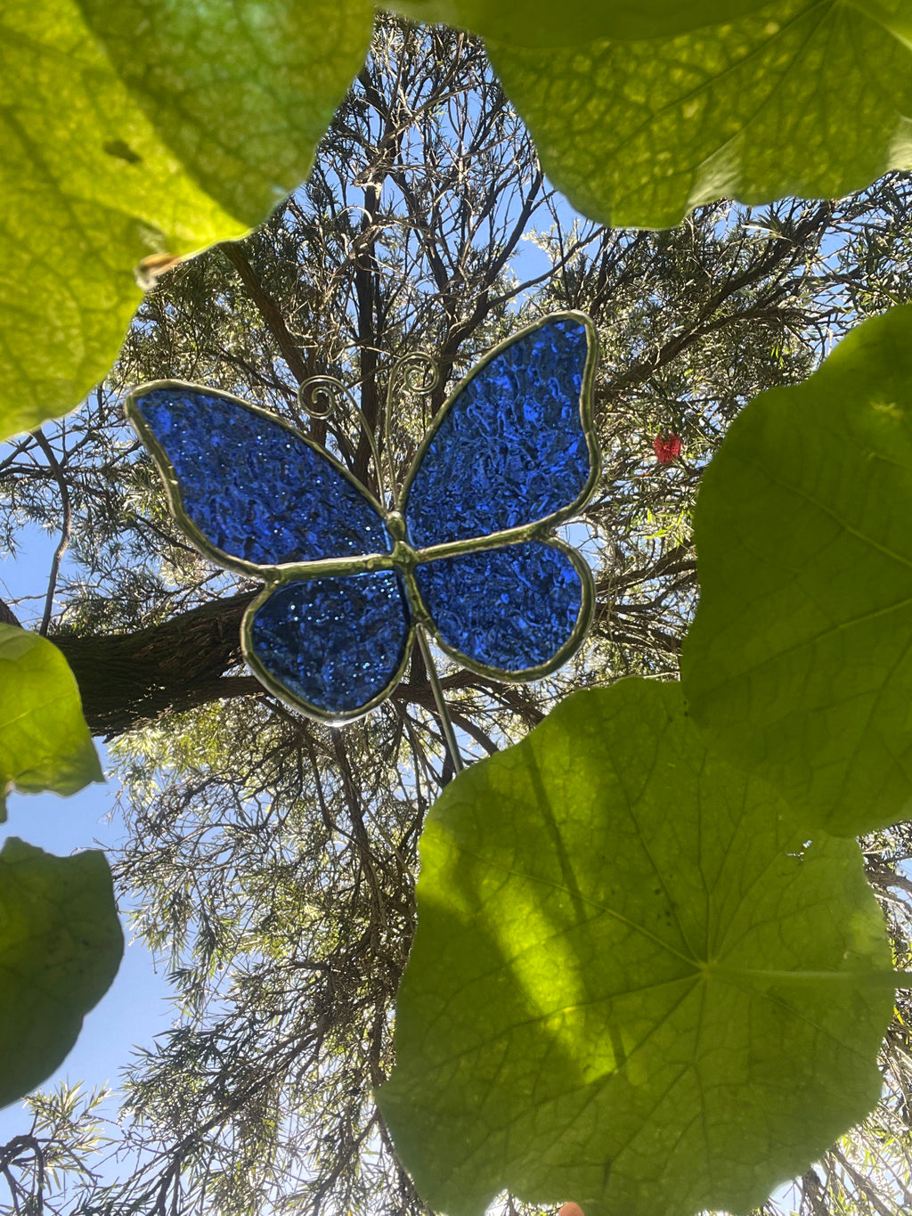 Butterfly Plant Stake - Blue