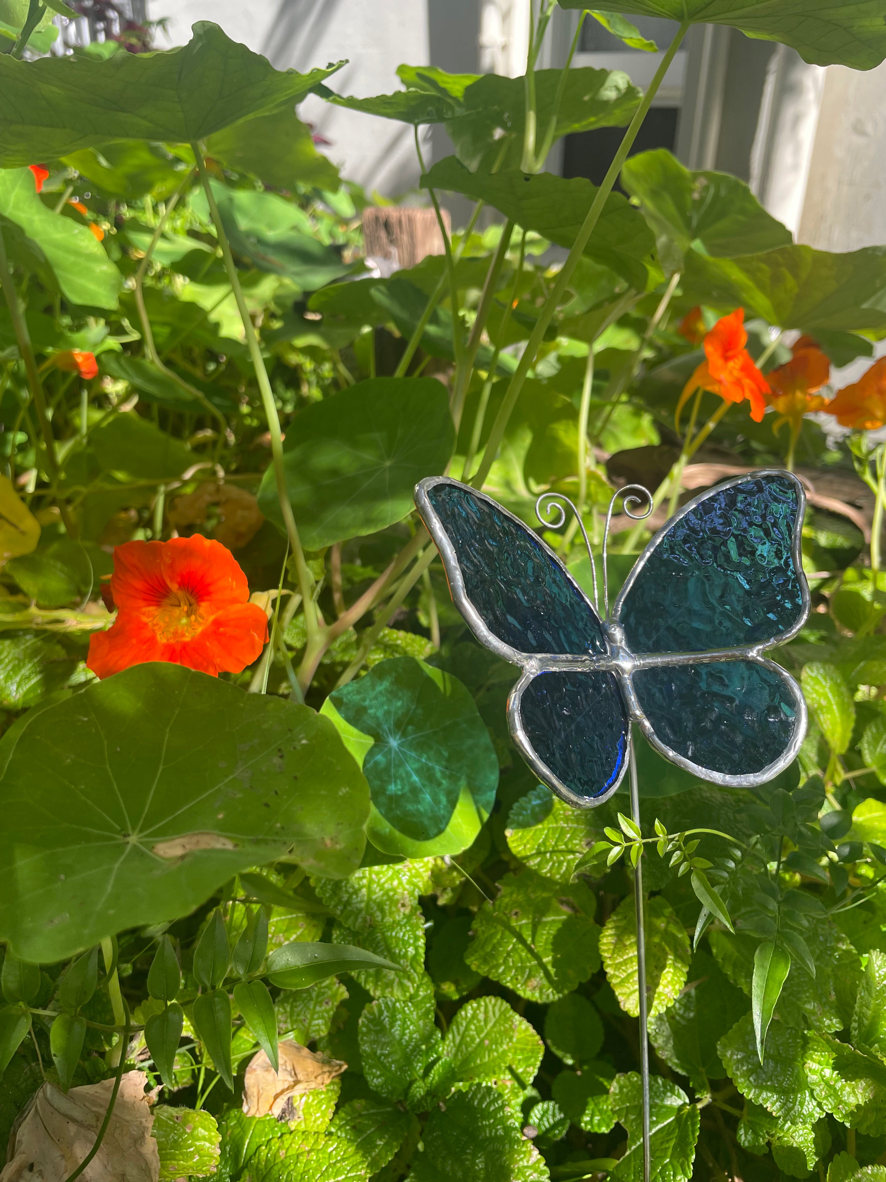 Butterfly Plant Stake - Blue