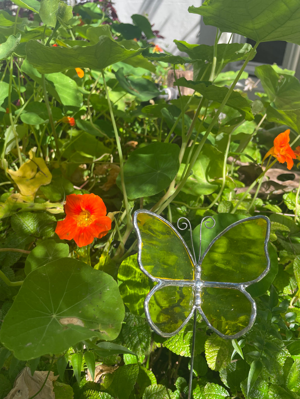 Butterfly Plant Stake - Yellow