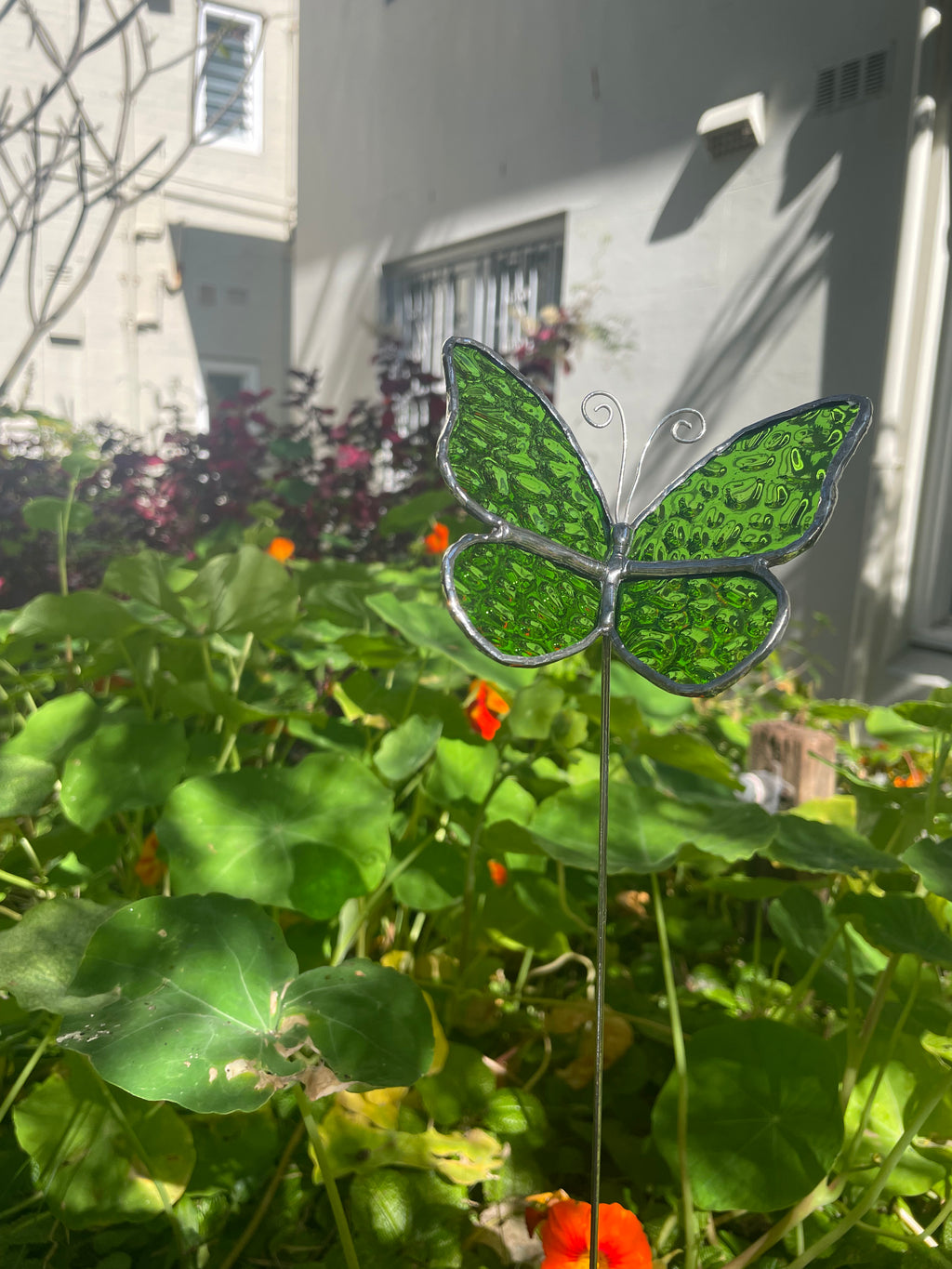 Butterfly Plant Stake - Green