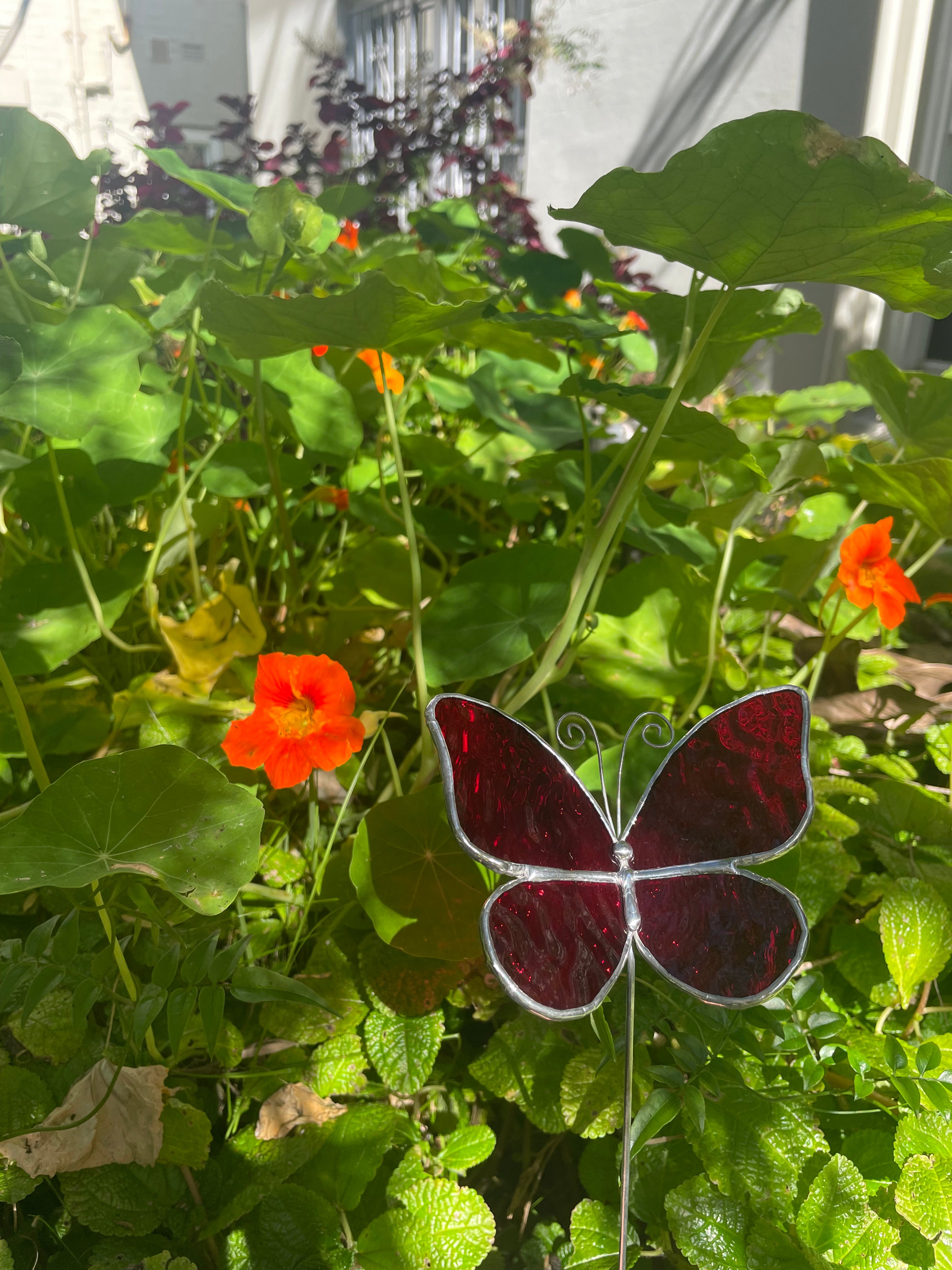 Butterfly Plant Stake - Red