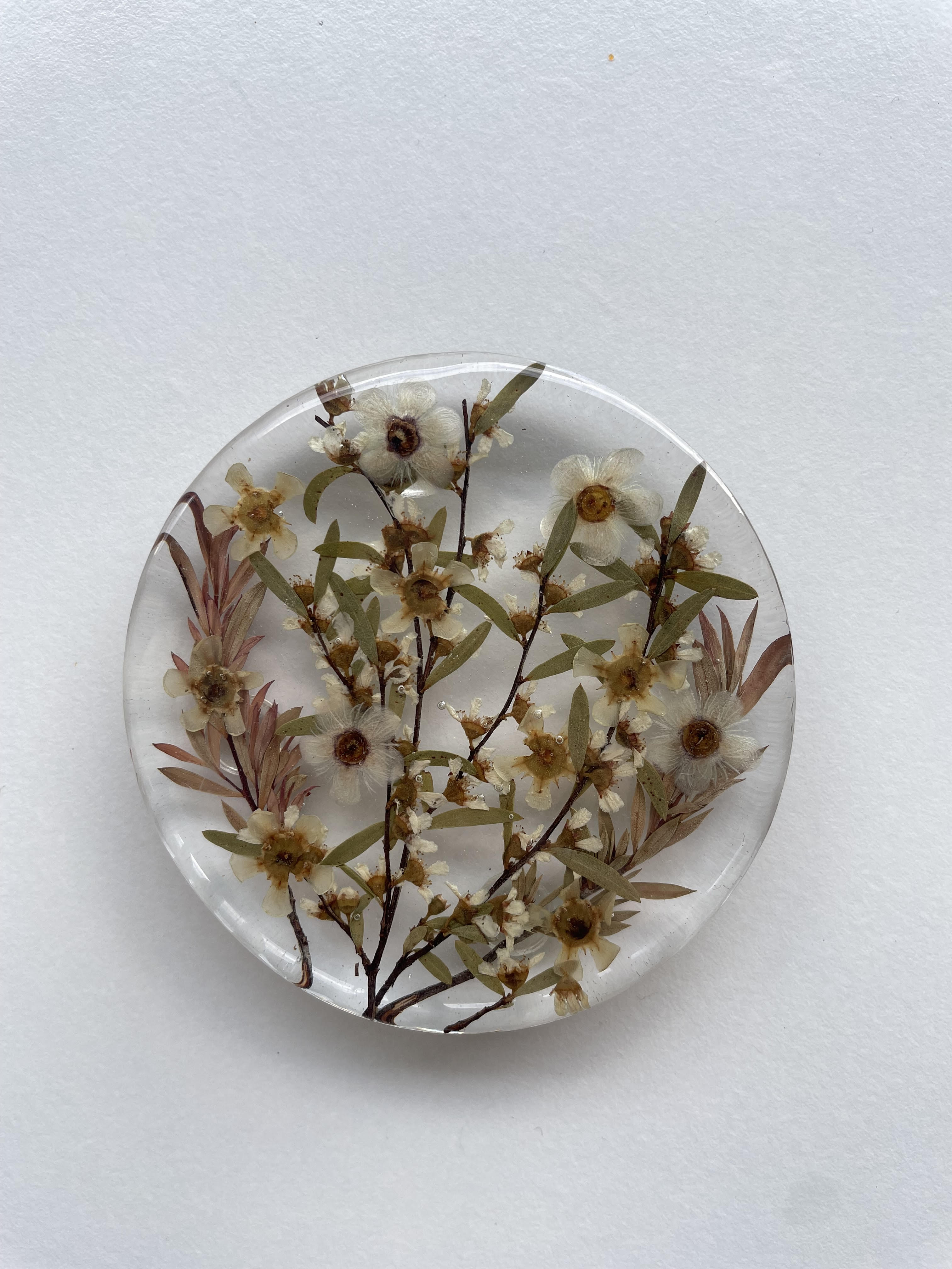 Flora Coaster - Wax Flower