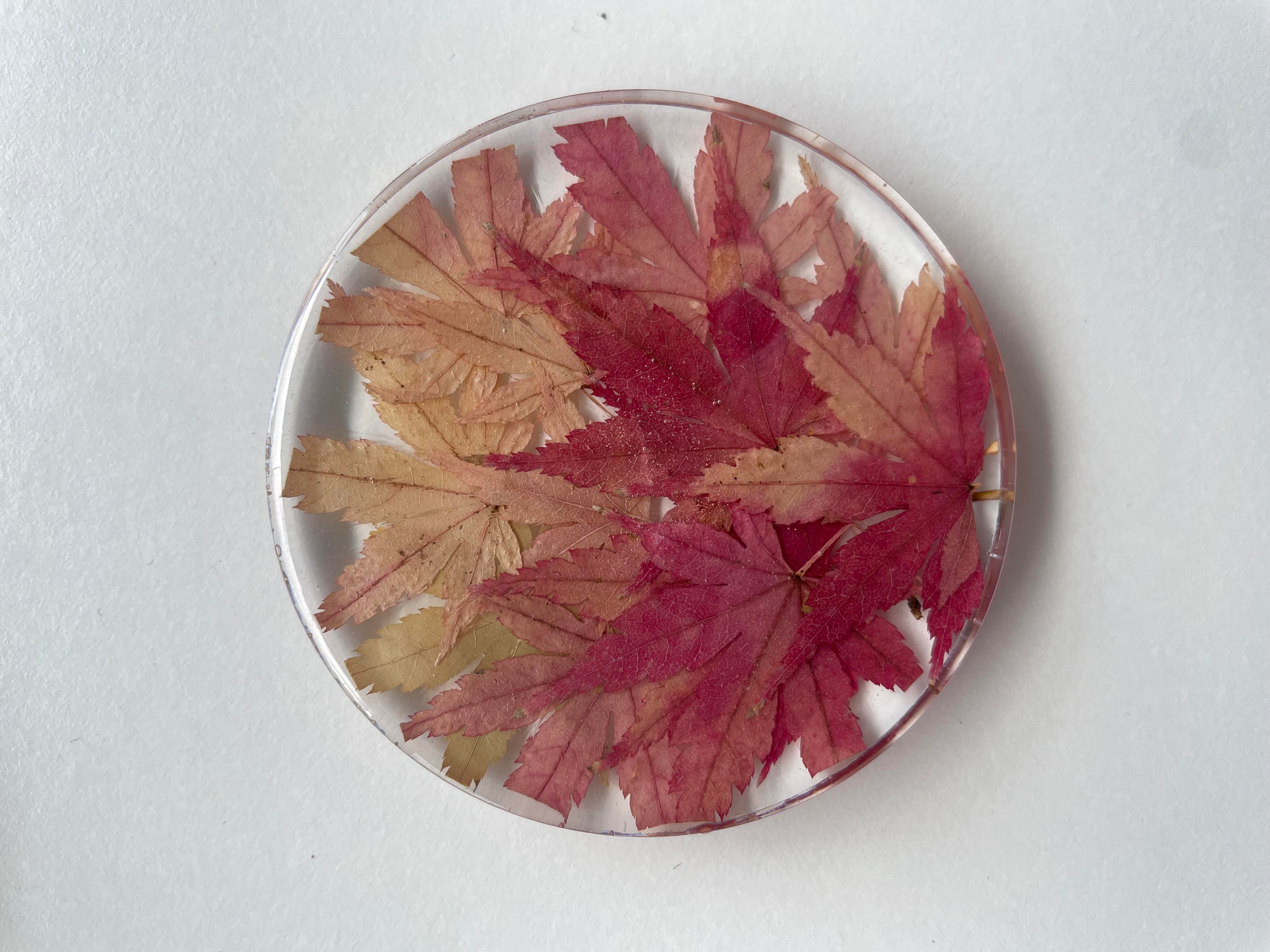 Flora Coaster - Maple Leaves