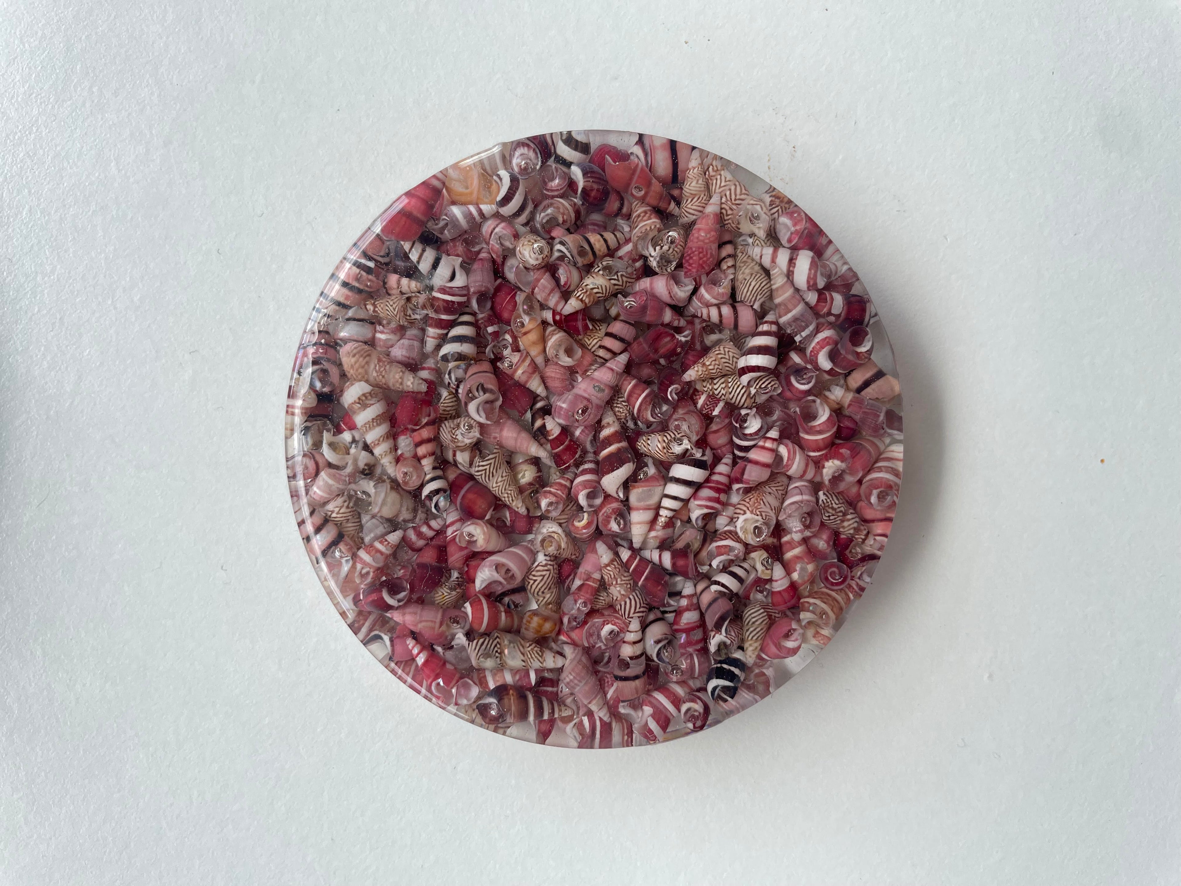 Seaside Coaster - pink shells